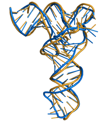 tRNA model on crystal