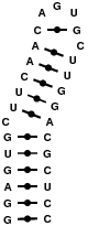 PDB file 1NBR