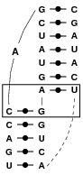 PDB file 2TPK